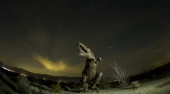 4K Fisheye Time Lapse Of Dinosaur With Stars