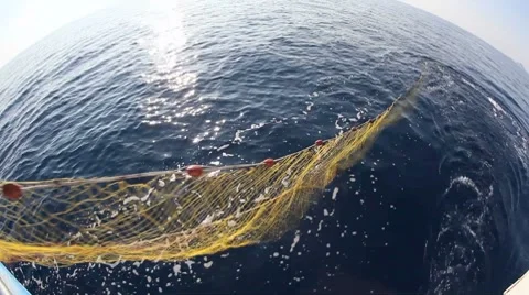 Fishing Cutter