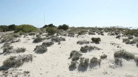 Woman Running At The Beach