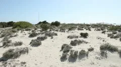 Woman Running At The Beach