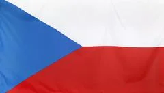 Czech Republic Flag Real Fabric