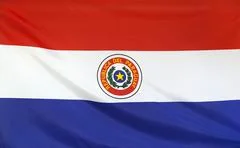 Paraguay Flag Real Fabric