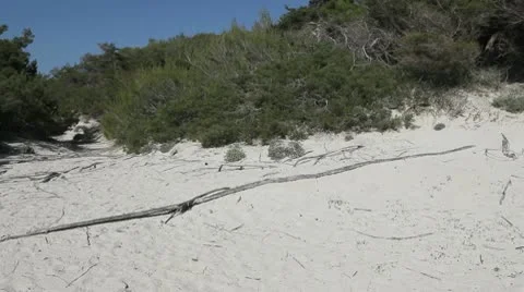 Sport At The Beach