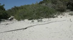 Sport At The Beach