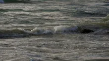 Slowmotion ocean waves breaking