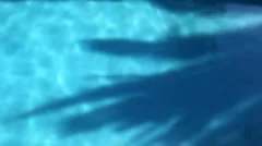 Swimming Pool Surface