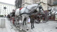 Horse Carriage Vienna