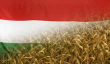 Hungary Nutrition Concept Corn field with fabric Flag