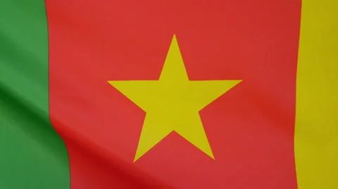 Cameroon Flag Real Fabric Close Up 4K