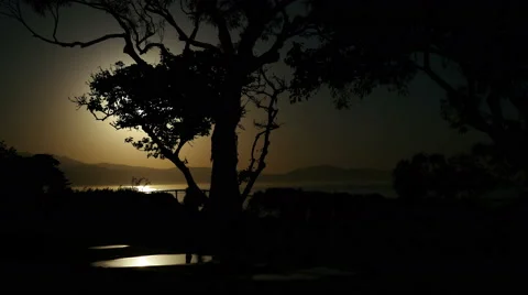 Sunrise With Tree