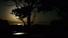 Sunrise With Tree