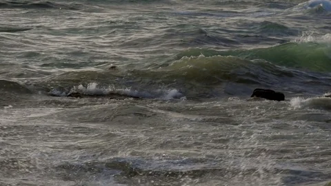 Slowmotion Ocean Waves Breaking