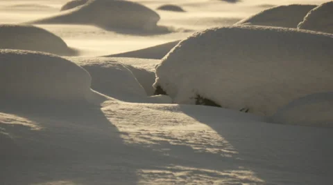 Close Up Waves Of Snow Bumps