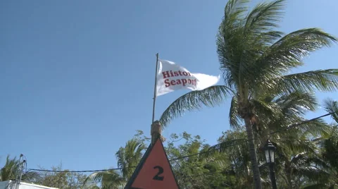 Historic Seaport Flag