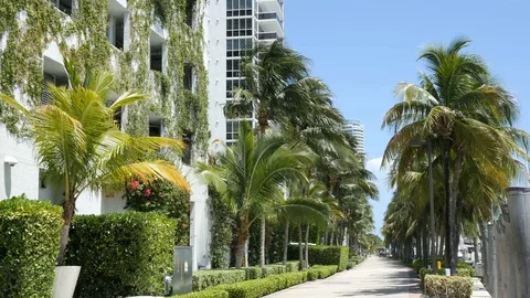 Miami Beach Skyscrapers