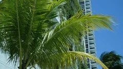 Miami Beach Skyscrapers