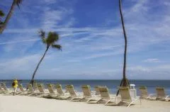  Tropical Beach