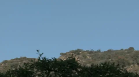 Hollywood Sign