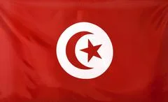 Tunisia Flag Real Fabric