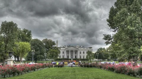 White House Demonstration - Zoom In
