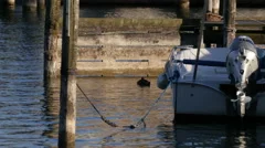 Boat Floating In Marina