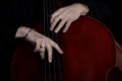 Contrabass Player