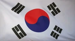South Korea Flag Real Fabric Close Up 4K