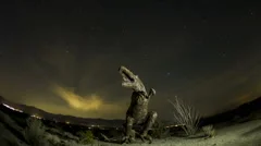 Fisheye Time Lapse Of Dinosaur With Stars