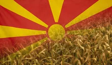 Macedonia Nutrition Concept Corn field with fabric Flag