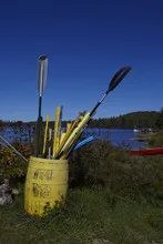 Paddles in a barrel