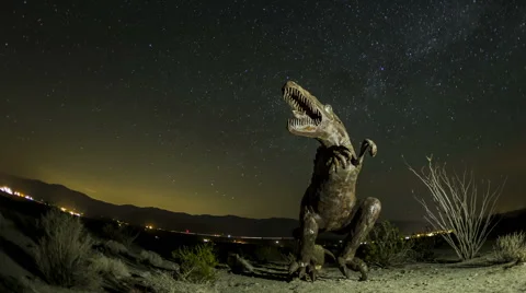 Fisheye Time Lapse Medium Close Up Of Dinosaur With Startrails