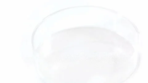Dropping Liquid