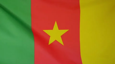 Cameroon Flag Real Fabric Close Up 4K