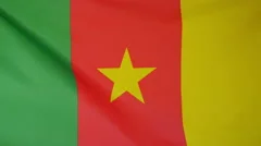 Cameroon Flag Real Fabric Close Up 4K