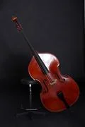 Contrabass
