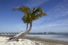 Tropical Beach