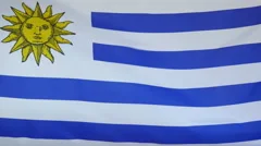 Uruguay Flag Real Fabric Close Up 4K