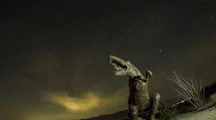 Fisheye Time Lapse Zoom Out And Rotate Of Dinosaur With Startrails