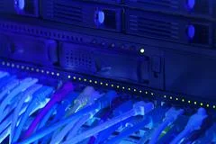 Server