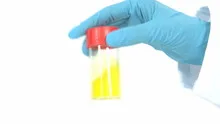 Scientist hand with tube