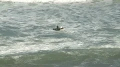 Surfer 