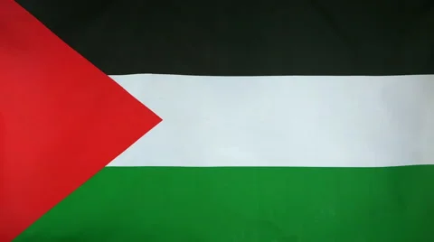 State Of Palestine Flag Real Fabric Close Up 4K