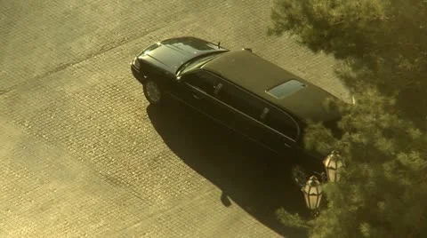 Stretch Limousine Morning Sun