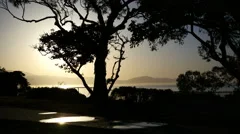 Sunrise With Tree