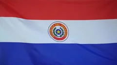 Slowmotion Real Textile Flag Of Paraguay