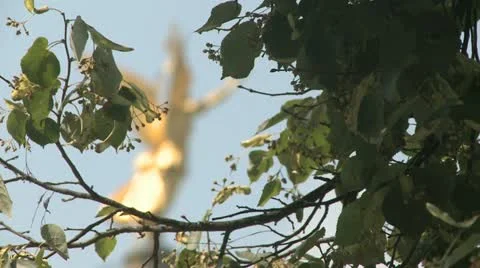 Victory Angel Of Berlin